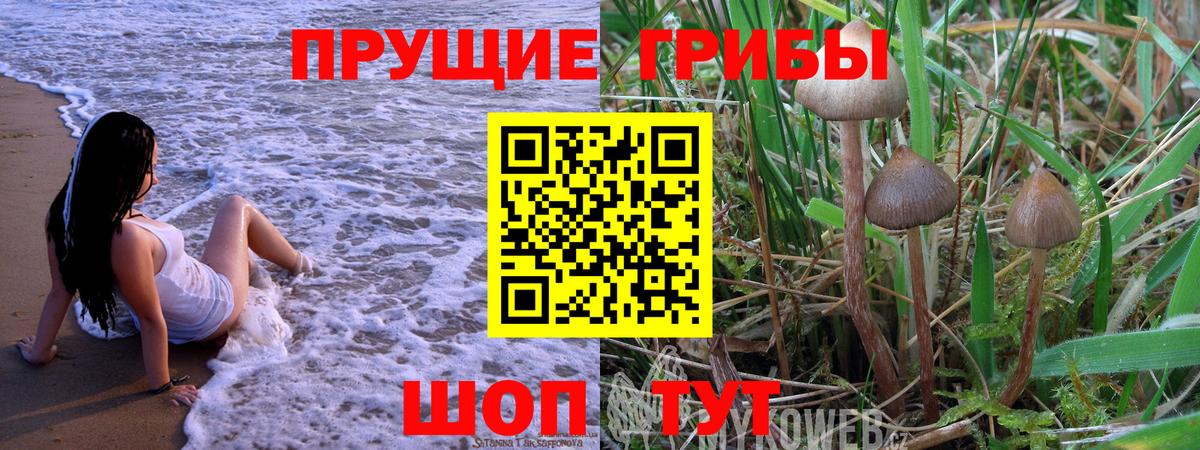 Псилоцибиновые грибы MAGIC MUSHROOMS  Псилоцибиновые грибы прущие грибы  Вход с VPN  Шарыпово 